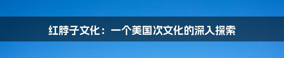 红脖子文化：一个美国次文化的深入探索