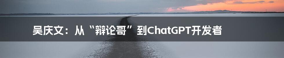 吴庆文：从“辩论哥”到ChatGPT开发者