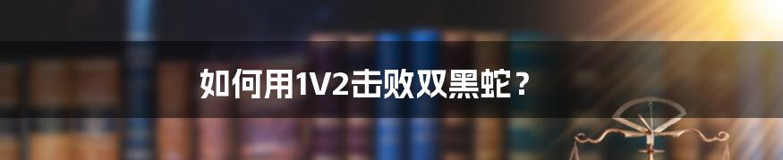 如何用1V2击败双黑蛇？