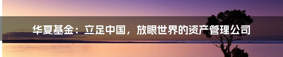 华夏基金：立足中国，放眼世界的资产管理公司