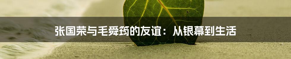 张国荣与毛舜筠的友谊：从银幕到生活