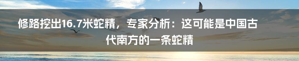 修路挖出16.7米蛇精，专家分析：这可能是中国古代南方的一条蛇精