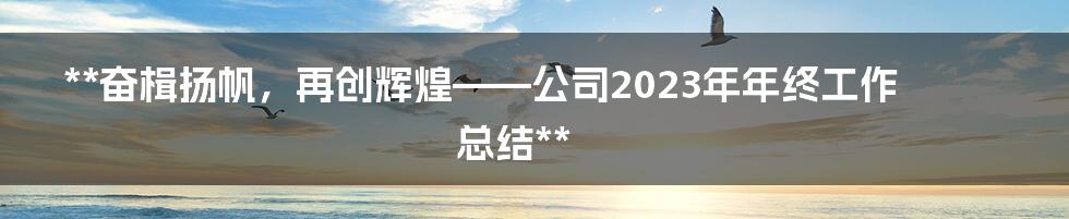 **奋楫扬帆，再创辉煌——公司2023年年终工作总结**