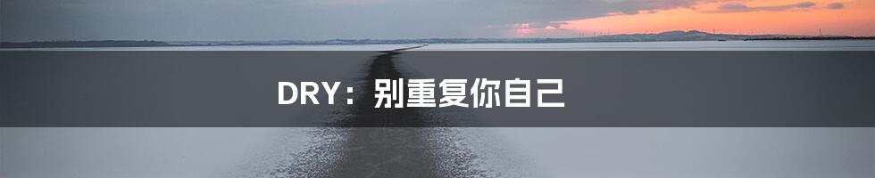 DRY：别重复你自己