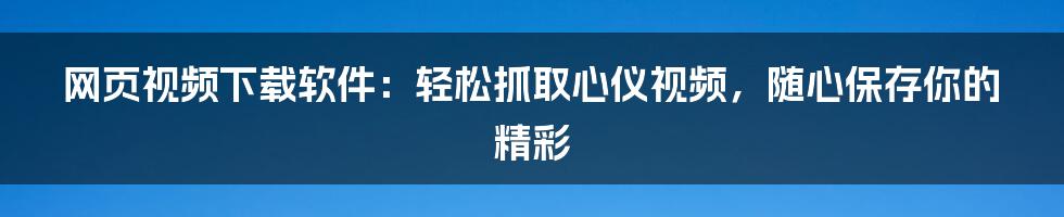 网页视频下载软件：轻松抓取心仪视频，随心保存你的精彩