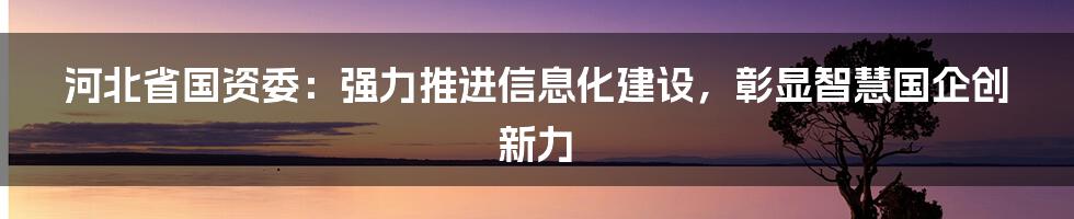 河北省国资委：强力推进信息化建设，彰显智慧国企创新力