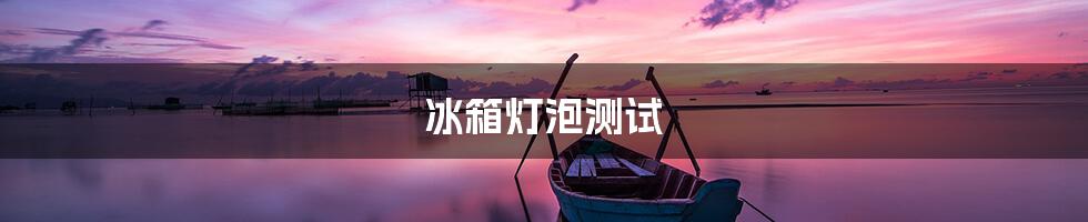 冰箱灯泡测试