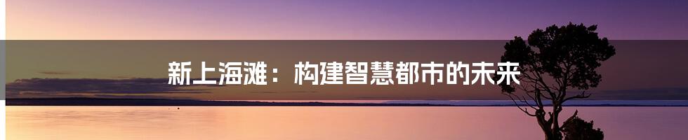 新上海滩：构建智慧都市的未来