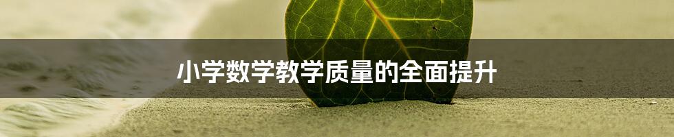 小学数学教学质量的全面提升