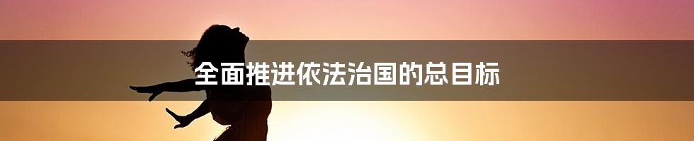 全面推进依法治国的总目标