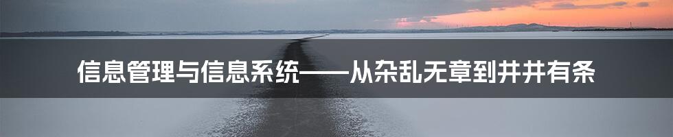 信息管理与信息系统——从杂乱无章到井井有条