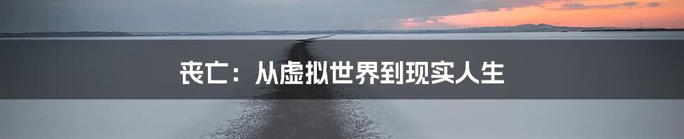 丧亡：从虚拟世界到现实人生