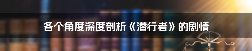 各个角度深度剖析《潜行者》的剧情