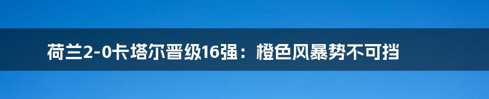 荷兰2-0卡塔尔晋级16强：橙色风暴势不可挡