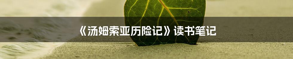 《汤姆索亚历险记》读书笔记