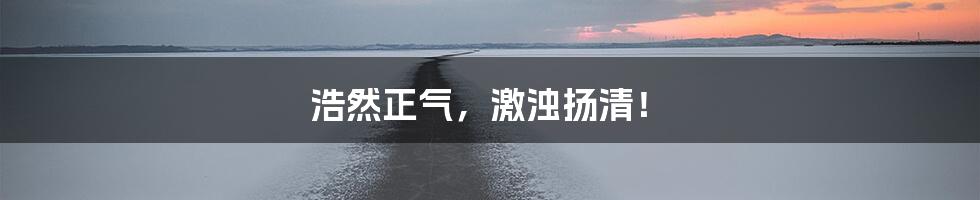 浩然正气，激浊扬清！