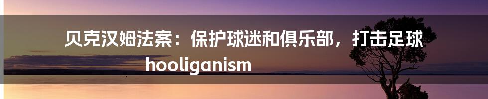 贝克汉姆法案：保护球迷和俱乐部，打击足球 hooliganism