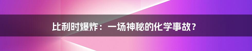 比利时爆炸：一场神秘的化学事故？