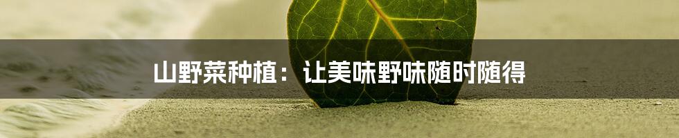 山野菜种植：让美味野味随时随得