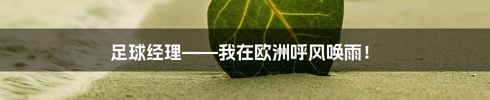 足球经理——我在欧洲呼风唤雨！