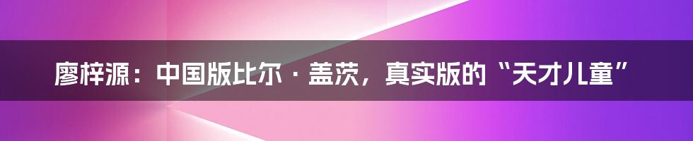 廖梓源：中国版比尔·盖茨，真实版的“天才儿童”