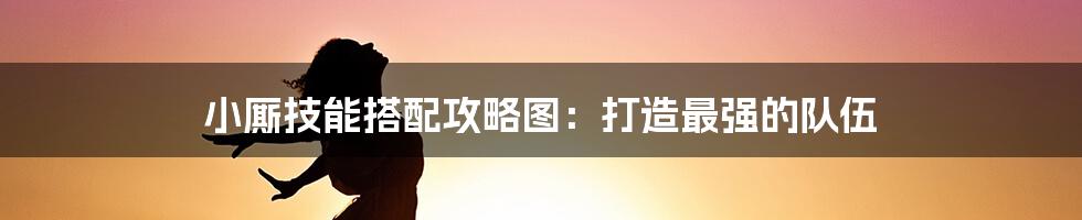 小厮技能搭配攻略图：打造最强的队伍