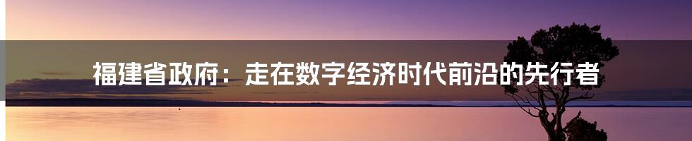 福建省政府：走在数字经济时代前沿的先行者