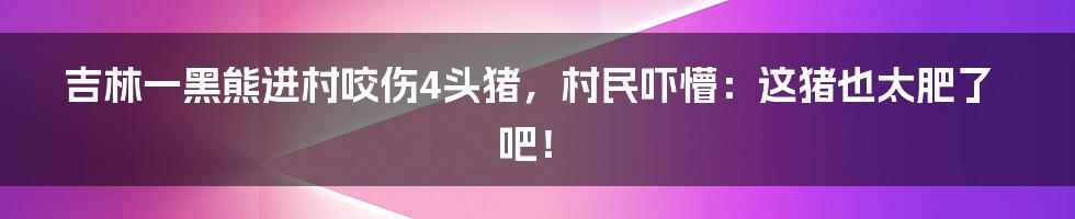 吉林一黑熊进村咬伤4头猪，村民吓懵：这猪也太肥了吧！