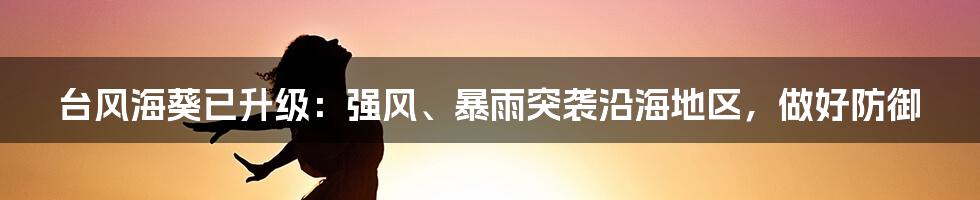 台风海葵已升级：强风、暴雨突袭沿海地区，做好防御