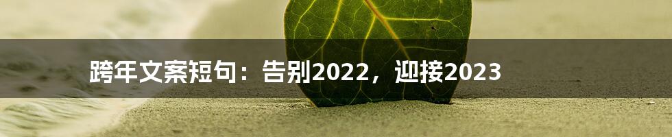 跨年文案短句：告别2022，迎接2023