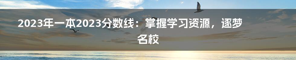 2023年一本2023分数线：掌握学习资源，逐梦名校