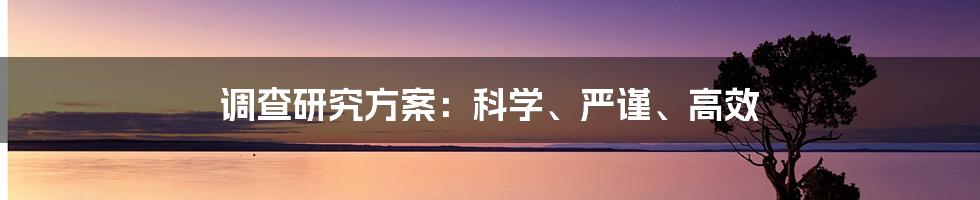 调查研究方案：科学、严谨、高效