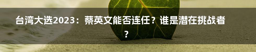 台湾大选2023：蔡英文能否连任？谁是潜在挑战者？