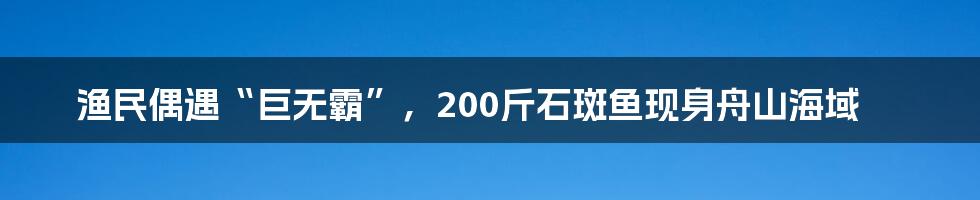 渔民偶遇“巨无霸”，200斤石斑鱼现身舟山海域