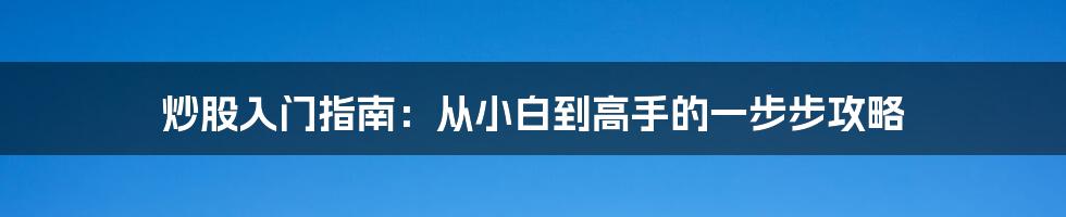 炒股入门指南：从小白到高手的一步步攻略