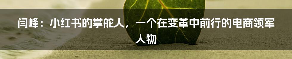 闫峰：小红书的掌舵人，一个在变革中前行的电商领军人物