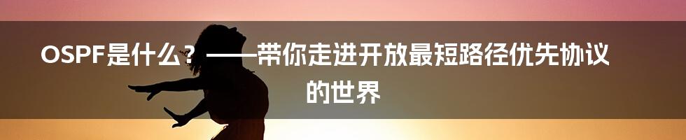 OSPF是什么？——带你走进开放最短路径优先协议的世界