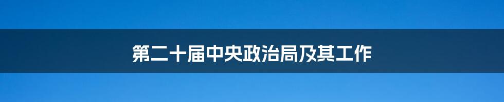 第二十届中央政治局及其工作