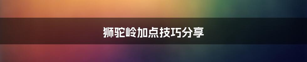 狮驼岭加点技巧分享