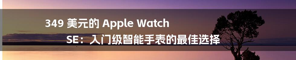 349 美元的 Apple Watch SE：入门级智能手表的最佳选择