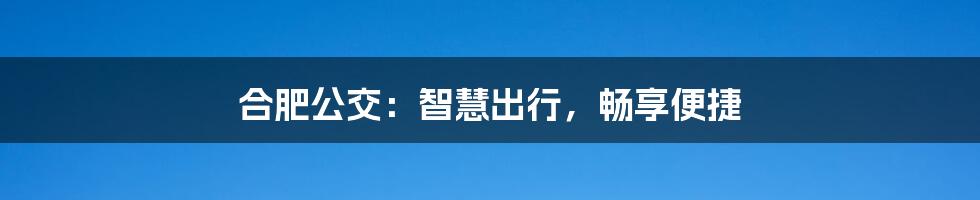 合肥公交：智慧出行，畅享便捷