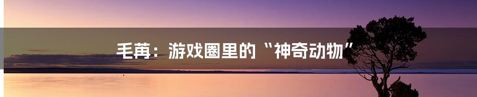 毛苒：游戏圈里的“神奇动物”