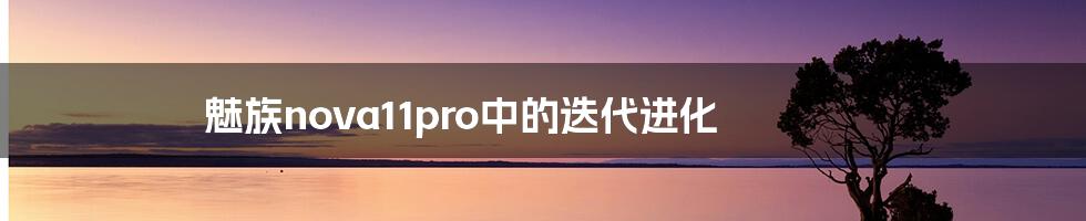 魅族nova11pro中的迭代进化