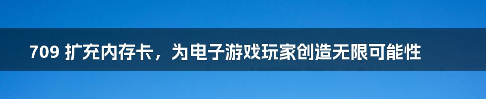 709 扩充内存卡，为电子游戏玩家创造无限可能性