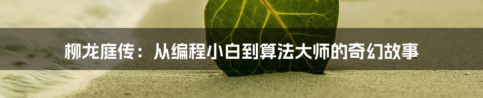 柳龙庭传：从编程小白到算法大师的奇幻故事