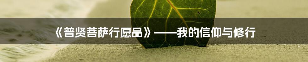 《普贤菩萨行愿品》——我的信仰与修行