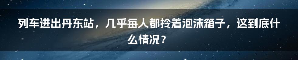 列车进出丹东站，几乎每人都拎着泡沫箱子，这到底什么情况？