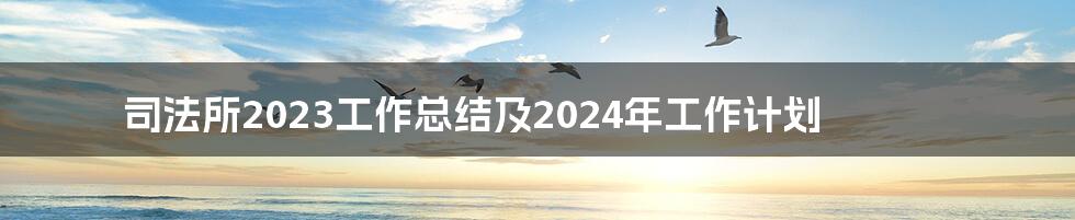 司法所2023工作总结及2024年工作计划