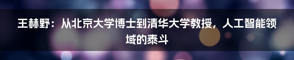 王赫野：从北京大学博士到清华大学教授，人工智能领域的泰斗