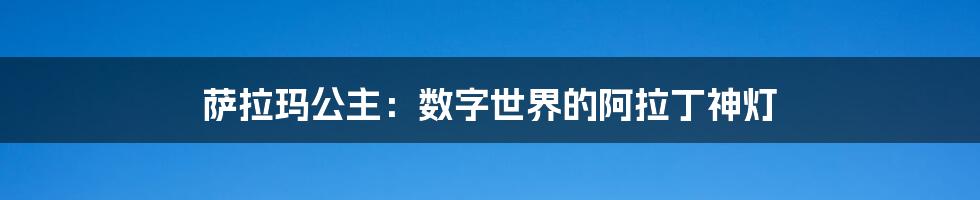 萨拉玛公主：数字世界的阿拉丁神灯